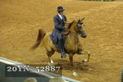 20YN_52887 thumbnail