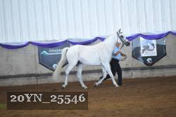 20YN_25546 thumbnail