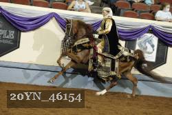 20YN_46154 thumbnail