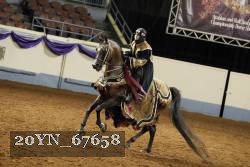 20YN_67658 thumbnail