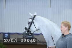 20YN_28040 thumbnail