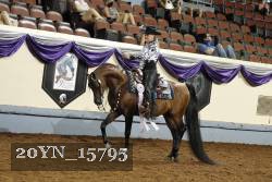 20YN_15795 thumbnail