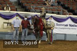 20YN_39910 thumbnail