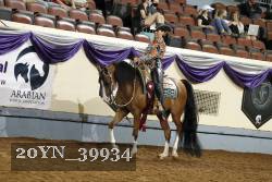 20YN_39934 thumbnail