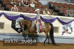 20YN_39950 thumbnail
