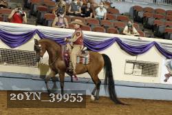 20YN_39955 thumbnail