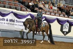 20YN_39957 thumbnail