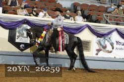 20YN_26259 thumbnail