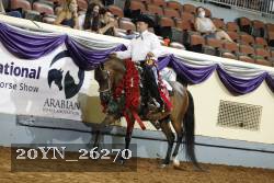 20YN_26270 thumbnail