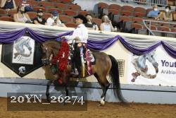 20YN_26274 thumbnail