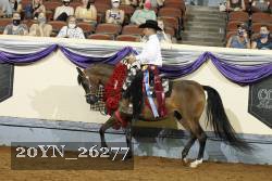 20YN_26277 thumbnail