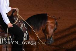 20YN_07654 thumbnail