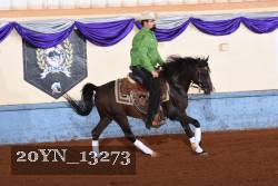 20YN_13273 thumbnail