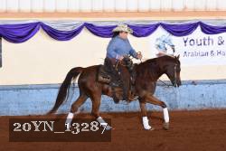 20YN_13287 thumbnail