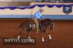 20YN_13293 thumbnail