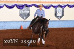 20YN_13300 thumbnail