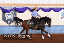 20YN_13302 thumbnail