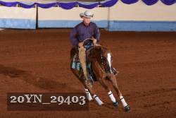 20YN_29403 thumbnail