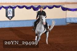 20YN_29409 thumbnail