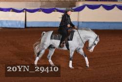 20YN_29410 thumbnail