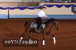 20YN_29420 thumbnail