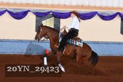 20YN_29423 thumbnail