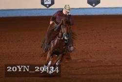 20YN_29434 thumbnail