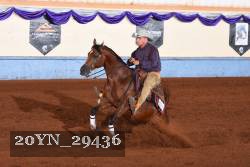 20YN_29436 thumbnail