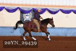 20YN_29439 thumbnail