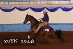 20YN_29441 thumbnail