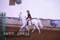 20YN_58835 thumbnail