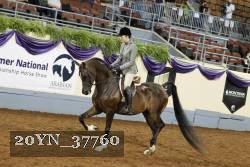 20YN_37760 thumbnail