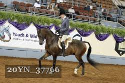 20YN_37766 thumbnail