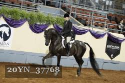 20YN_37768 thumbnail