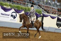 20YN_37770 thumbnail