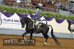 20YN_37771 thumbnail