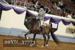 20YN_37773 thumbnail