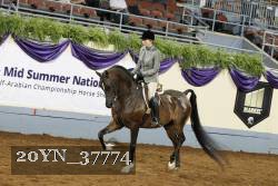 20YN_37774 thumbnail