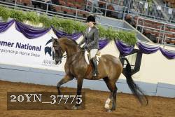 20YN_37775 thumbnail