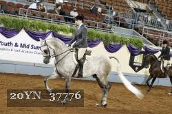 20YN_37776 thumbnail