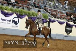 20YN_37779 thumbnail