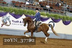 20YN_37782 thumbnail