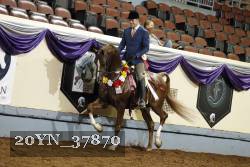 20YN_37870 thumbnail