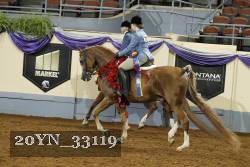 20YN_33119 thumbnail