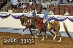 20YN_33131 thumbnail