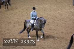20YN_13973 thumbnail