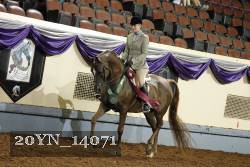 20YN_14071 thumbnail