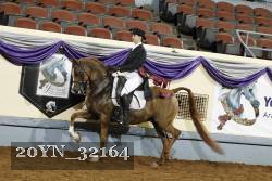 20YN_32164 thumbnail