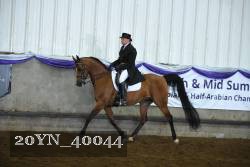 20YN_40044 thumbnail