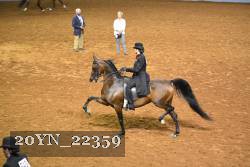 20YN_22359 thumbnail